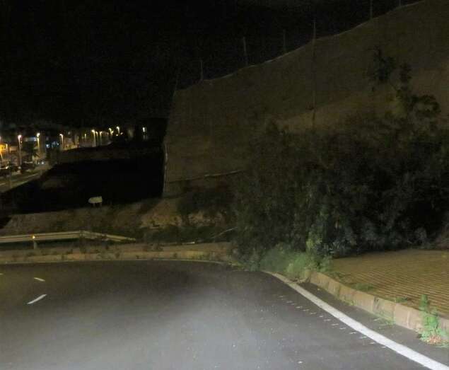 El arbusto ocupa toda la acera/TA.